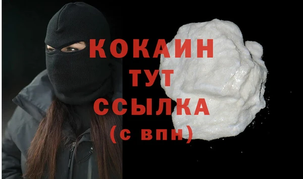 дживик Навашино