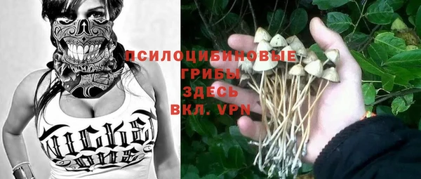 дживик Навашино