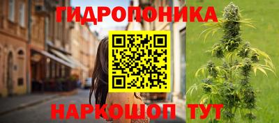 сатива Азнакаево