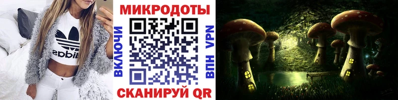 Галлюциногенные грибы Psilocybe Шарыпово