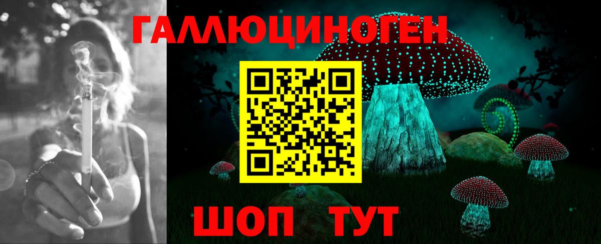 Шарыпово  Псилоцибиновые грибы MAGIC MUSHROOMS  Вход с VPN  Псилоцибиновые грибы GOLDEN TEACHER 